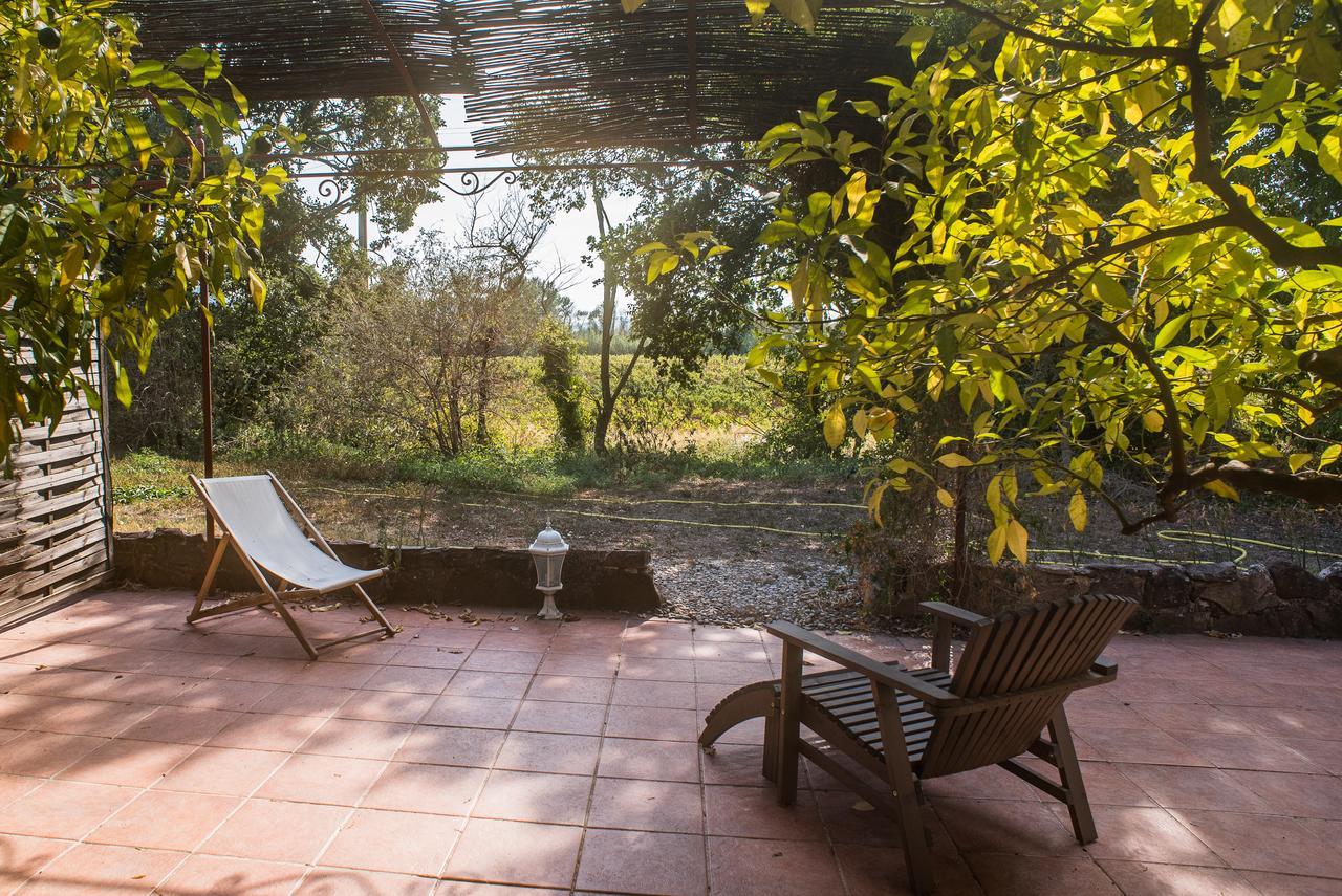 Apartamento Domaine De La Marseillaise La Crau Exterior foto